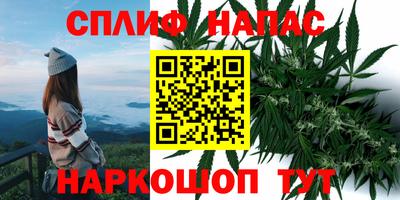 прущие грибы Конаково