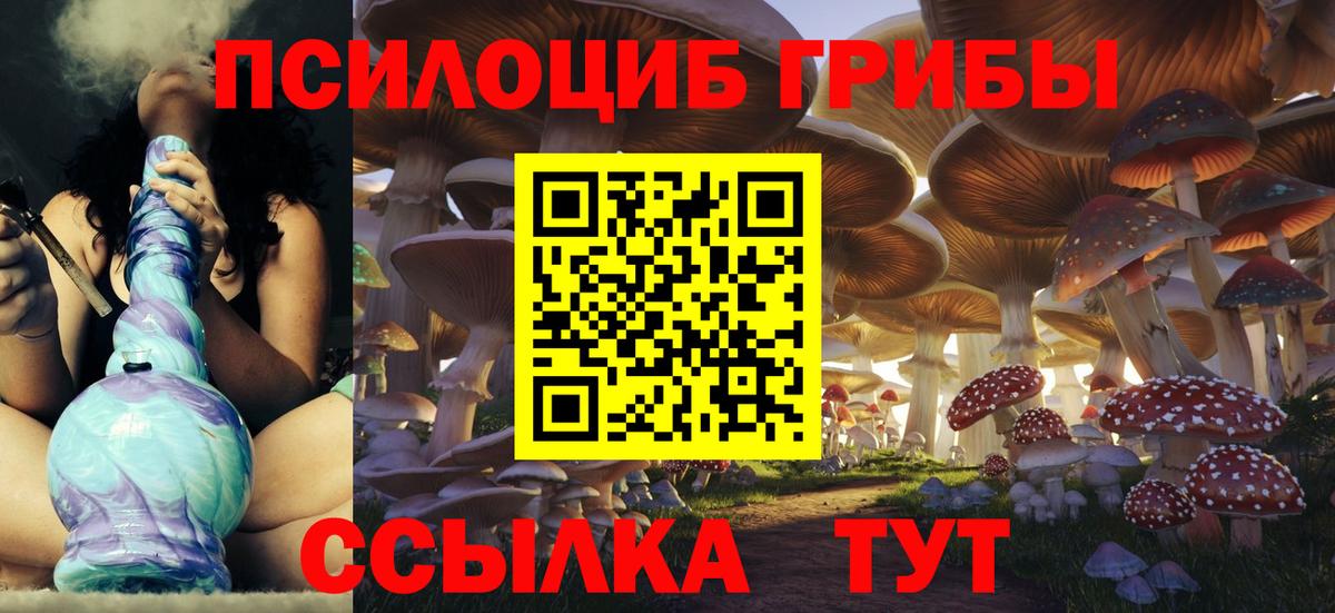 Галлюциногенные грибы GOLDEN TEACHER Усть-Илимск